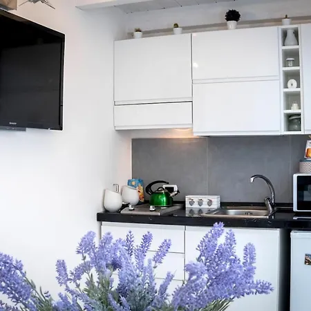 Apartment S. Sofia