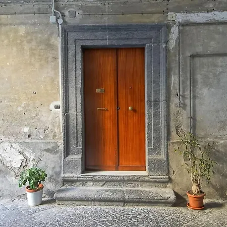 Апартаменты S. Sofia *