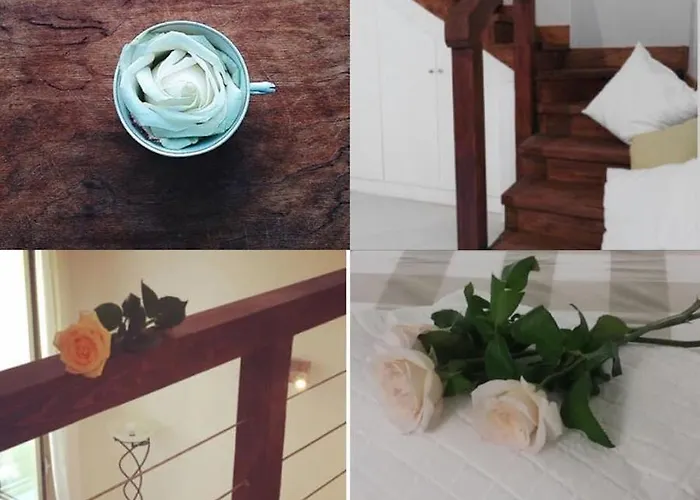 S. Sofia Апартаменты *